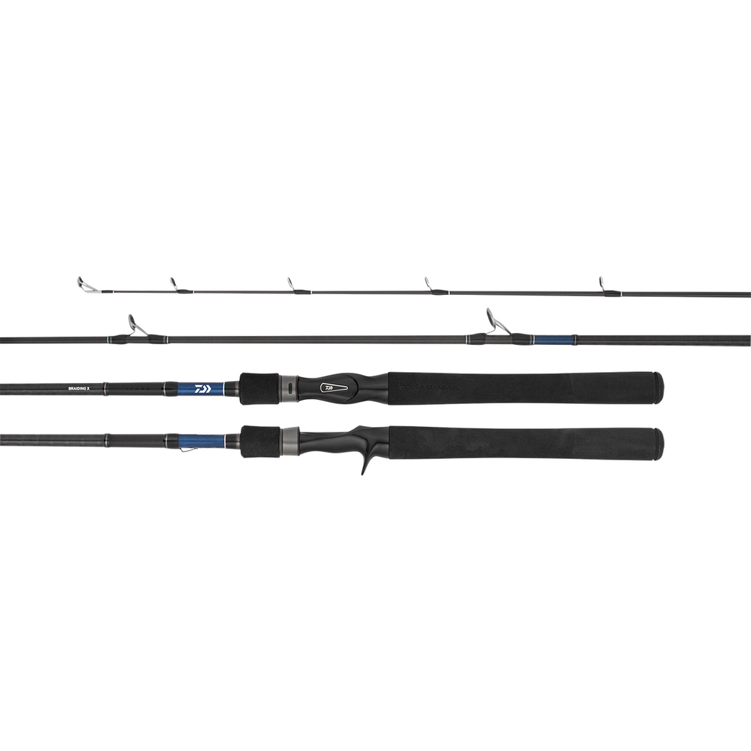 Daiwa 21 TD Tierra Baitcaster Rods